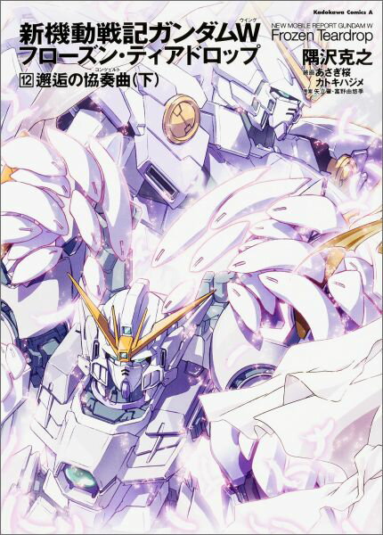新機動戦記ガンダムW（ウイング）フローズン・ティアドロップ 12