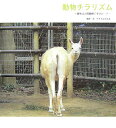 動物チラリズム