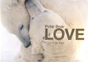 Polar bear love