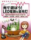 光で遊ぼう！　LED電飾＆蛍光灯【送料無料】