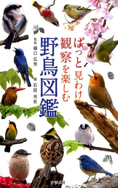 ぱっと見わけ観察を楽しむ野鳥図鑑 [ 石田光史 ]...:book:17388207