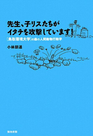 先生、子リスたちがイタチを攻撃しています！【送料無料】