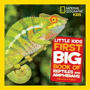 Little Kids First Big Book of Reptiles and Amphibians LITTLE KIDS 1ST BBO REPTILES & （National Geographic Little Kids First Big Books） 