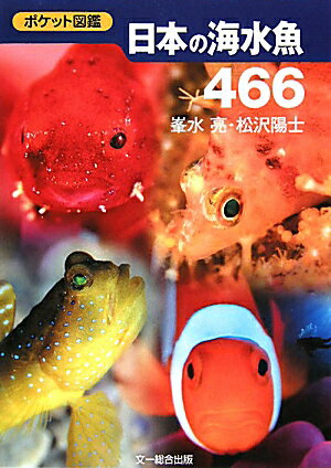 日本の海水魚466