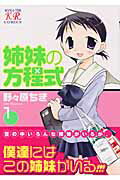 姉妹の方程式