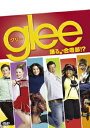 glee グリー 踊る♪合唱部!? 1 [ マシュー・モリソン ]