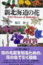 新北海道の花【送料無料】