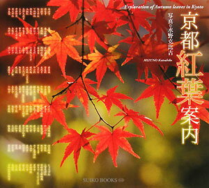 京都紅葉案内