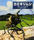 【送料無料】カミキリムシ