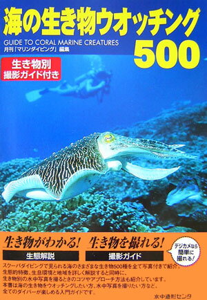 海の生き物ウオッチング500