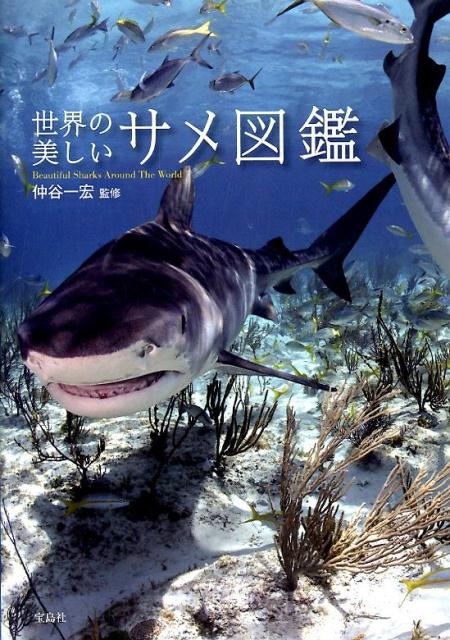 世界の美しいサメ図鑑 [ 仲谷一宏 ]...:book:17407707