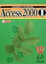 Microsoft Access 2000i2j