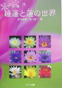 睡蓮と蓮の世界