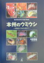 本州のウミウシ【送料無料】