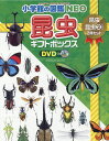 小学館の図鑑NEO昆虫ギフトボックス2冊セット DVDつき 昆虫／昆虫2地球篇
