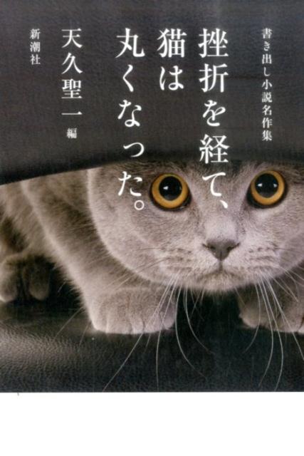 挫折を経て、猫は丸くなった。 [ 天久聖一 ]...:book:18029366