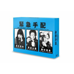 怪盗 山猫DVD-BOX [ 亀梨和也 ]