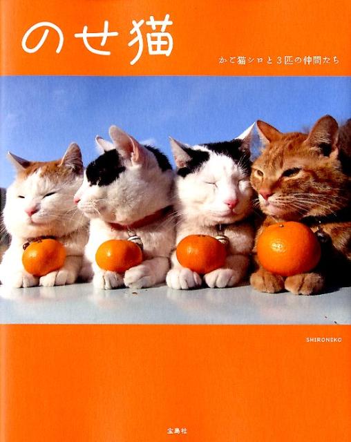 のせ猫 かご猫シロと3匹の仲間たち [ Shironeko ]...:book:15700858