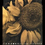 晩夏(ひとりの季節)/いのちの名前