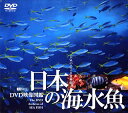 日本の海水魚/DVD映像図鑑