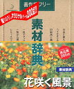 素材辞典 Vol.121 花咲く風景編