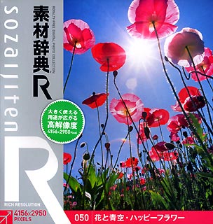 素材辞典[R] 050 花と青空・ハッピーフラワー