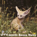 yzWu meets Bossa Nova