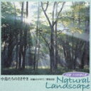 α波 1/fのゆらぎ 小鳥たちのささやき 木漏れ日の中で/那須高原