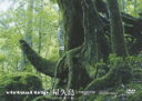 virtual trip 屋久島part2 永遠の森