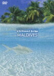 virtual trip MALDIVES モルディブ