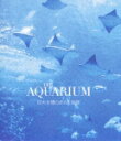 THE AQUARIUM 巨大水槽のある水族館【Blu-ray】【送料無料】