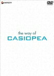 the way of CASIOPEA [ CASIOPEA ]