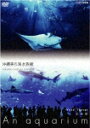 水族館~An Aquarium~ 沖縄美ら海水族館