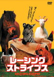 レーシング・ストライプス