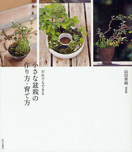 【1000円以上送料無料】だれでもできる小さな盆栽