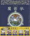 魔術学 魔術師マーリンの秘密/ドゥガルドA.スティール【1000円以上送料無料】
