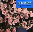 【1000円以上送料無料】国風盆栽展 第85回/日本盆栽協会【RCP】