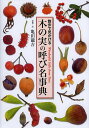 木の実の呼び名事典 散歩で見かける Wonderful Gifts from Trees/亀田龍吉【1000円以上送料無料】
