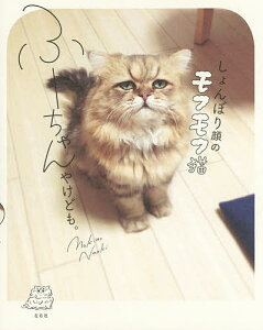 しょんぼり顔のモフモフ猫ふーちゃんやけども。／牧野直樹【1000円以上送料無料】