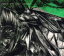 【中古】 【輸入盤】Envy on the Coast (Dig) /エンヴィー・オン・ザ・コースト 【中古】afb