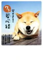【中古】 柴犬まるのワン若心経 /菅原こころ(著者),加藤朝胤(その他),小野慎二郎(その他) 【中古】afb