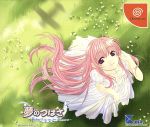 【中古】 （初回限定版）夢のつばさ−Fate of Heart− ／ドリームキャスト 【中古】afb...:bookoffonline:10233286