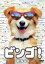 【中古】 ビンゴ! /シンディ・ウィリアムズ 【中古】afb