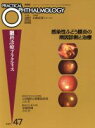【中古】 感染症ぶどう膜炎の病因診断と治療 /丸尾敏夫(著者) 【中古】afb