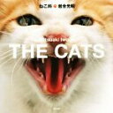 【中古】 写真集　ねこ科 THE　CATS ／岩合光昭(著者) 【中古】afb