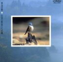 【中古】 野鳥の歌 /(BGM) 【中古】afb