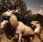 【中古】 アワー・ラヴ・トゥ・アドマイヤー／<strong>インターポール</strong>