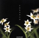 【中古】 トルケスタニカ /Hi−Fi CAMP 【中古】afb
