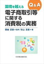 国境を越える電子商取引等に関する消費税の実務日本加除出版三省堂書店オンデマンド