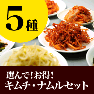 栄養士が作っている 選んで キムチ ナムルセット5類 白菜キムチ 海鮮キムチ 3〜5人前 …...:boosankimuchi:10000073